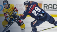 hokej Rok 2021 zakončí Tygři severočeským derby proti Litvínovu